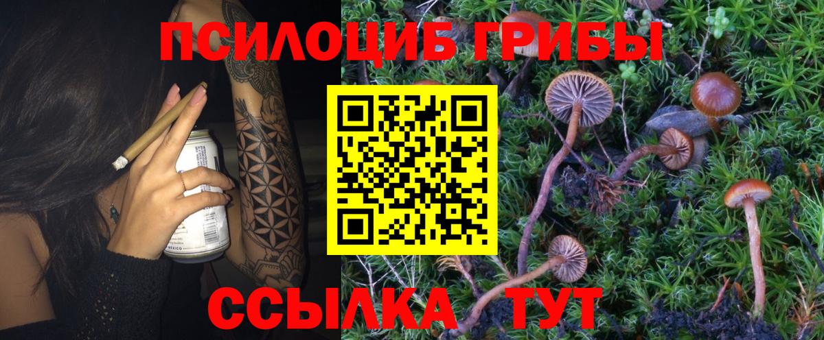 Псилоцибиновые грибы Cubensis  Вход с VPN  Владикавказ 