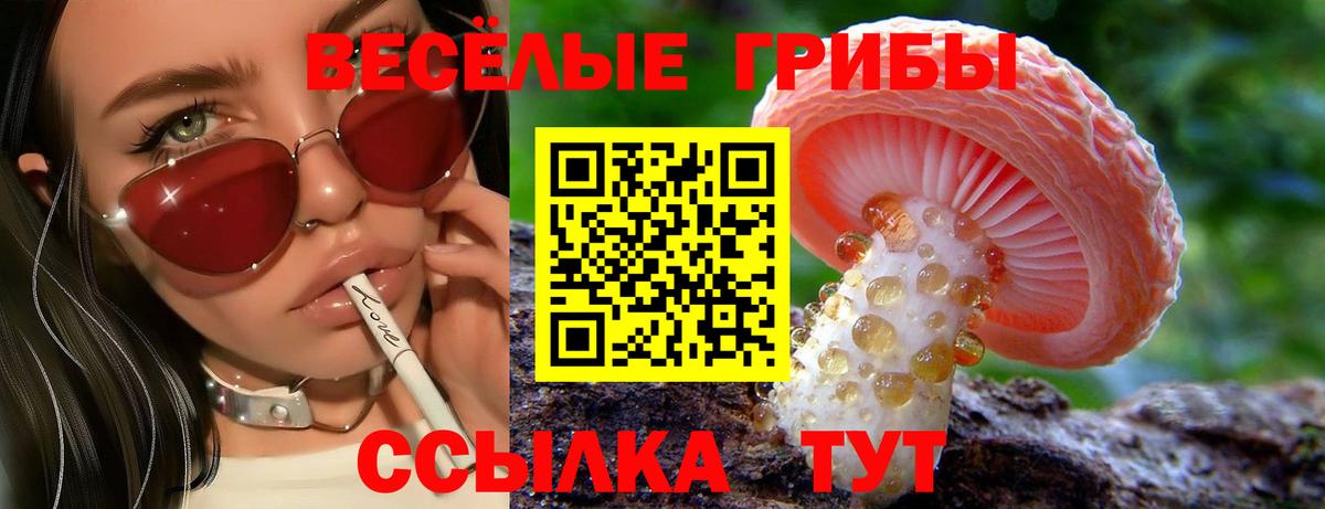Галлюциногенные грибы MAGIC MUSHROOMS Владикавказ